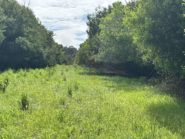 Terreno para Venda em Atouguia da Baleia