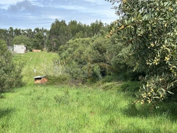 Terreno para Venda em Atouguia da Baleia