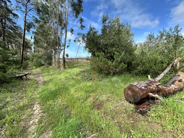 Terreno para Venda em Atouguia da Baleia