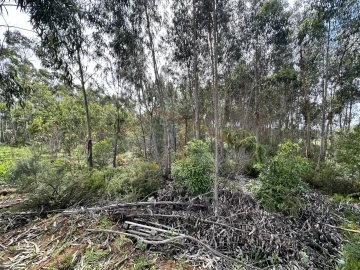 Terreno para Venda em Atouguia da Baleia