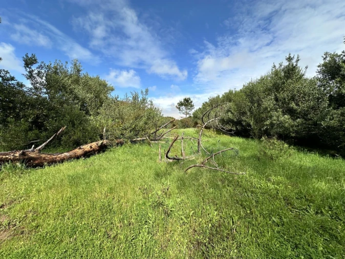 Terreno para Venda em Atouguia da Baleia Foto 21