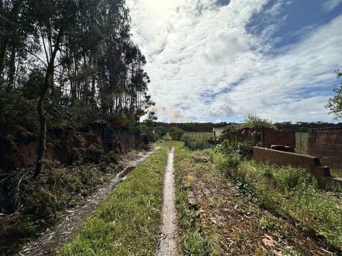 Terreno para Venda em Atouguia da Baleia Foto 15