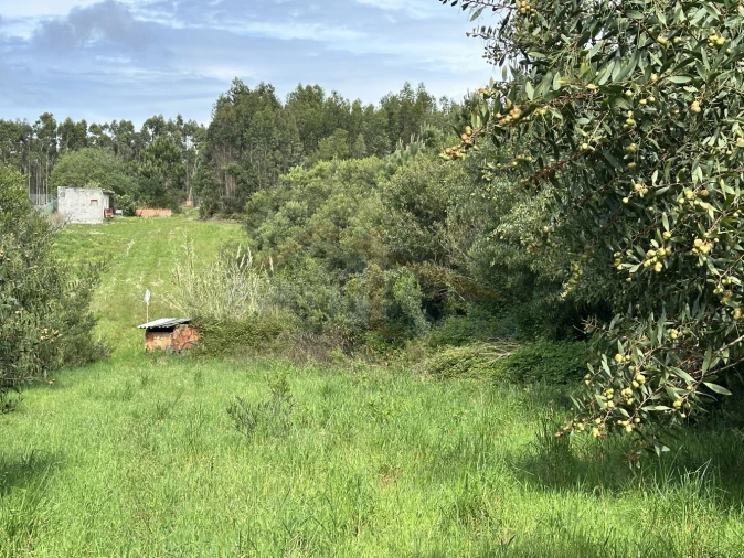 Terreno para Venda em Atouguia da Baleia Foto 18
