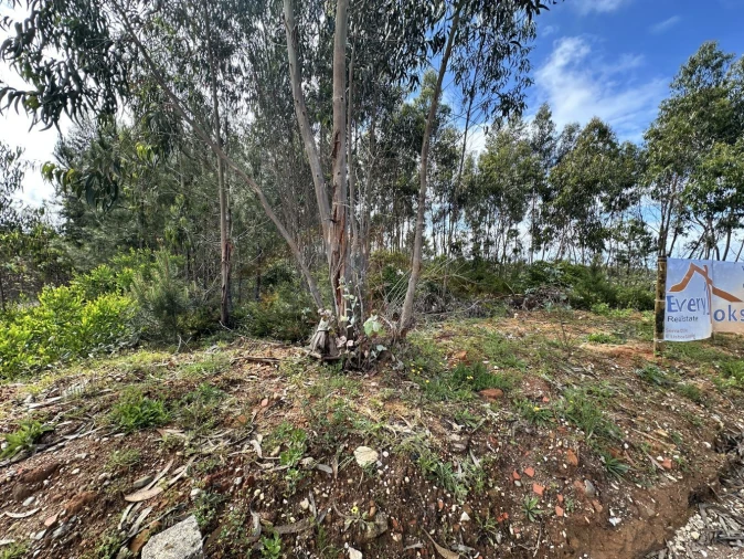 Terreno para Venda em Atouguia da Baleia Foto 7