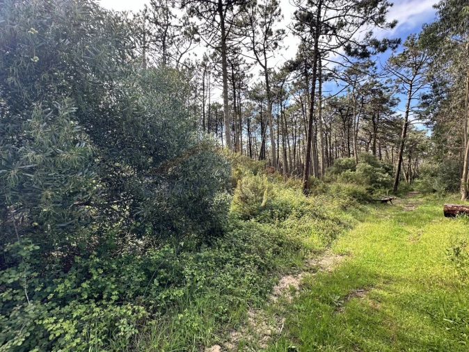 Terreno para Venda em Atouguia da Baleia Foto 22
