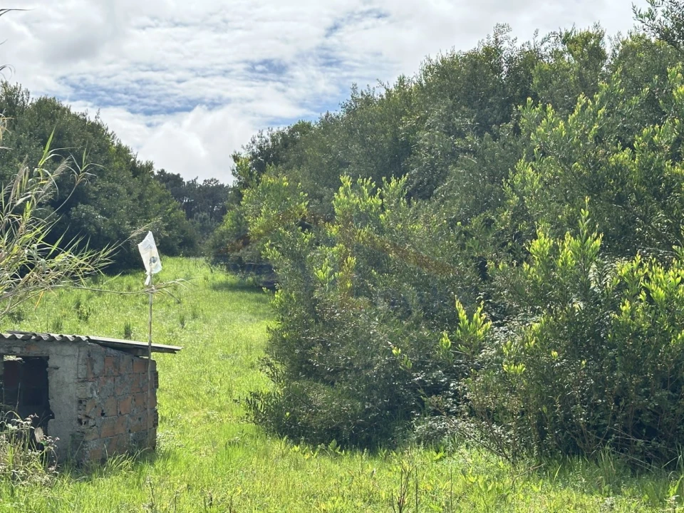 Terreno para Venda em Atouguia da Baleia Foto 16