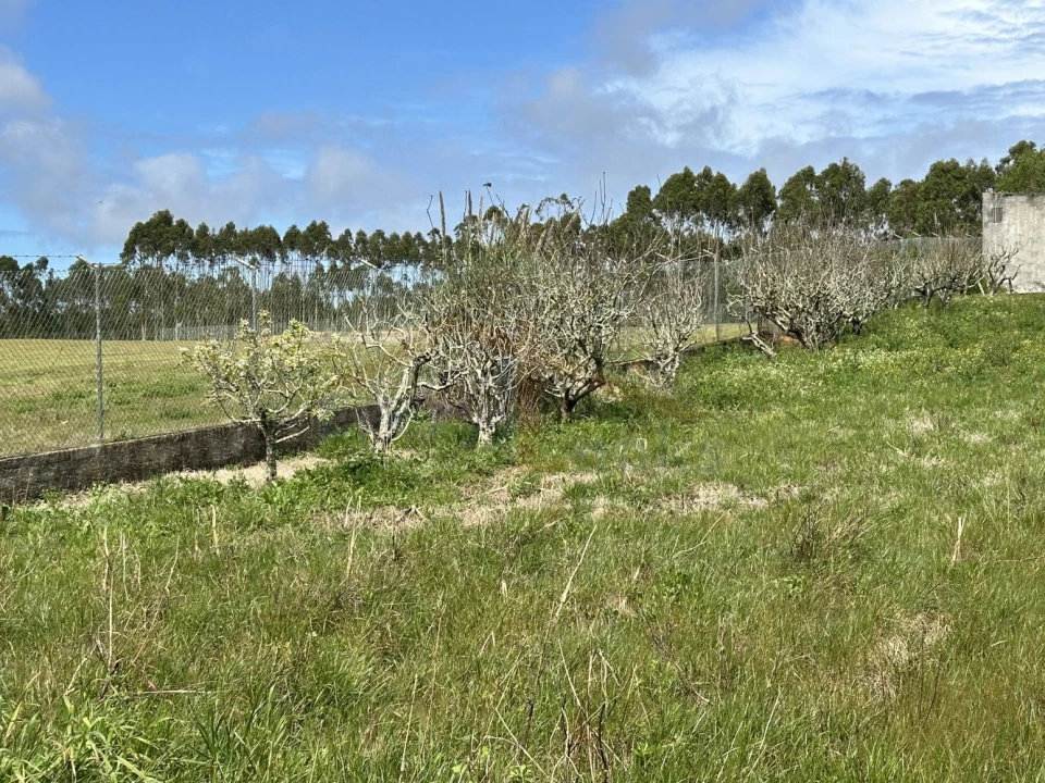 Terreno para Venda em Atouguia da Baleia Foto 5