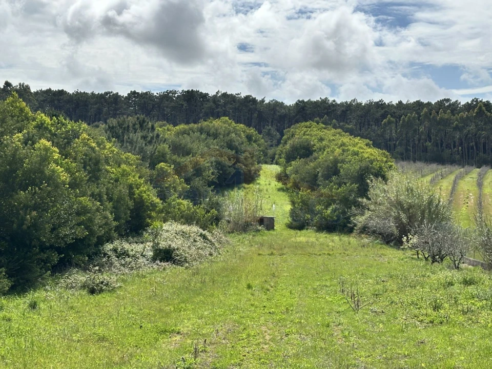 Terreno para Venda em Atouguia da Baleia Foto 1