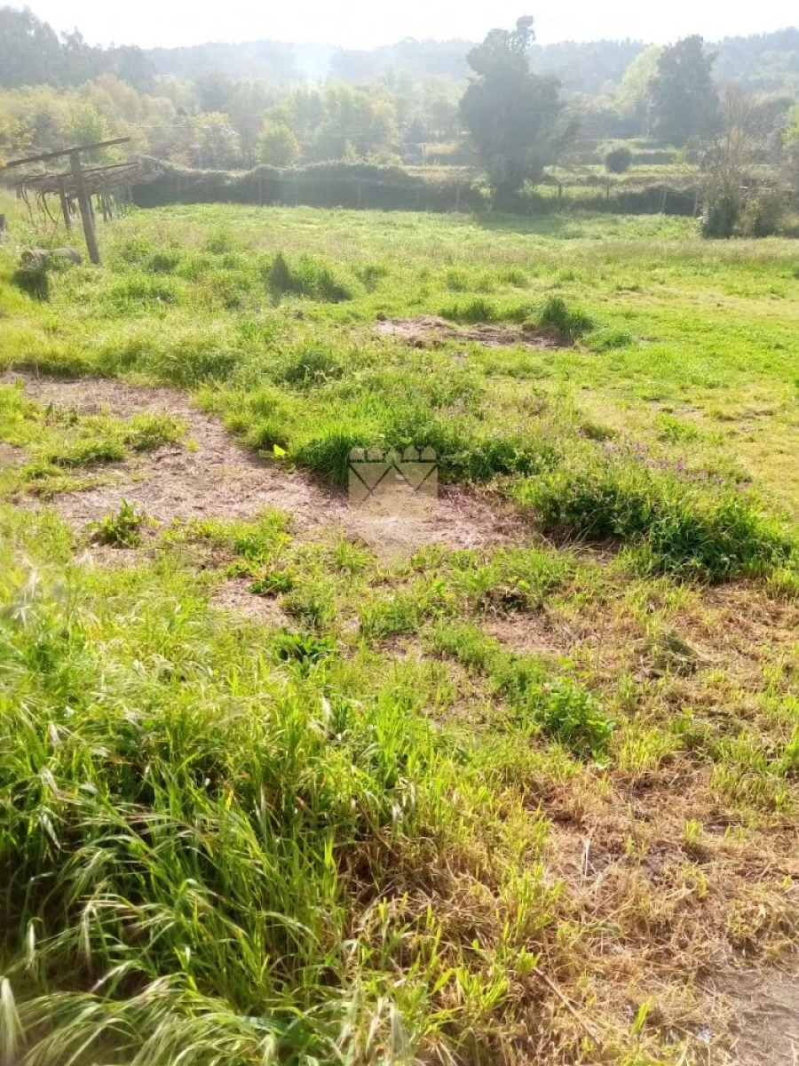 Terreno para Venda em Fonte Arcada Foto 2