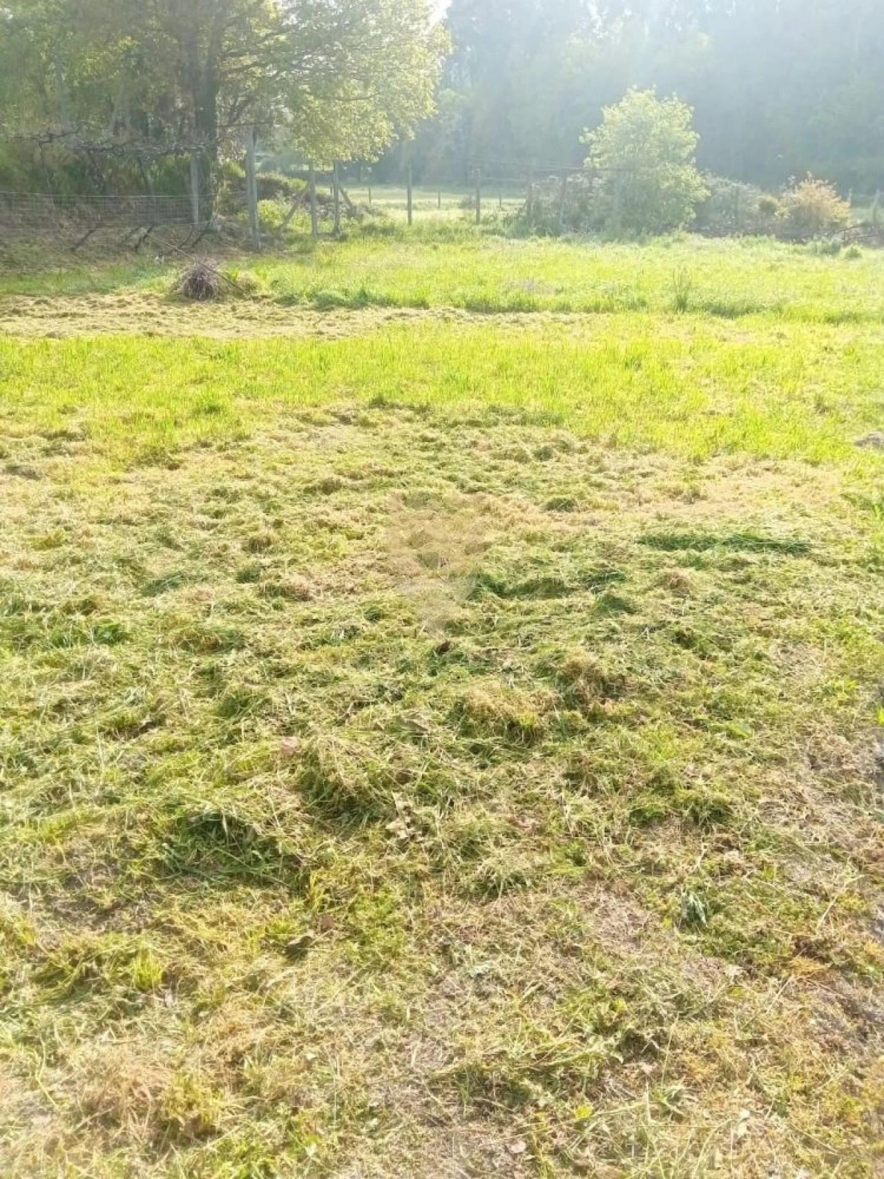 Terreno para Venda em Fonte Arcada Foto 1
