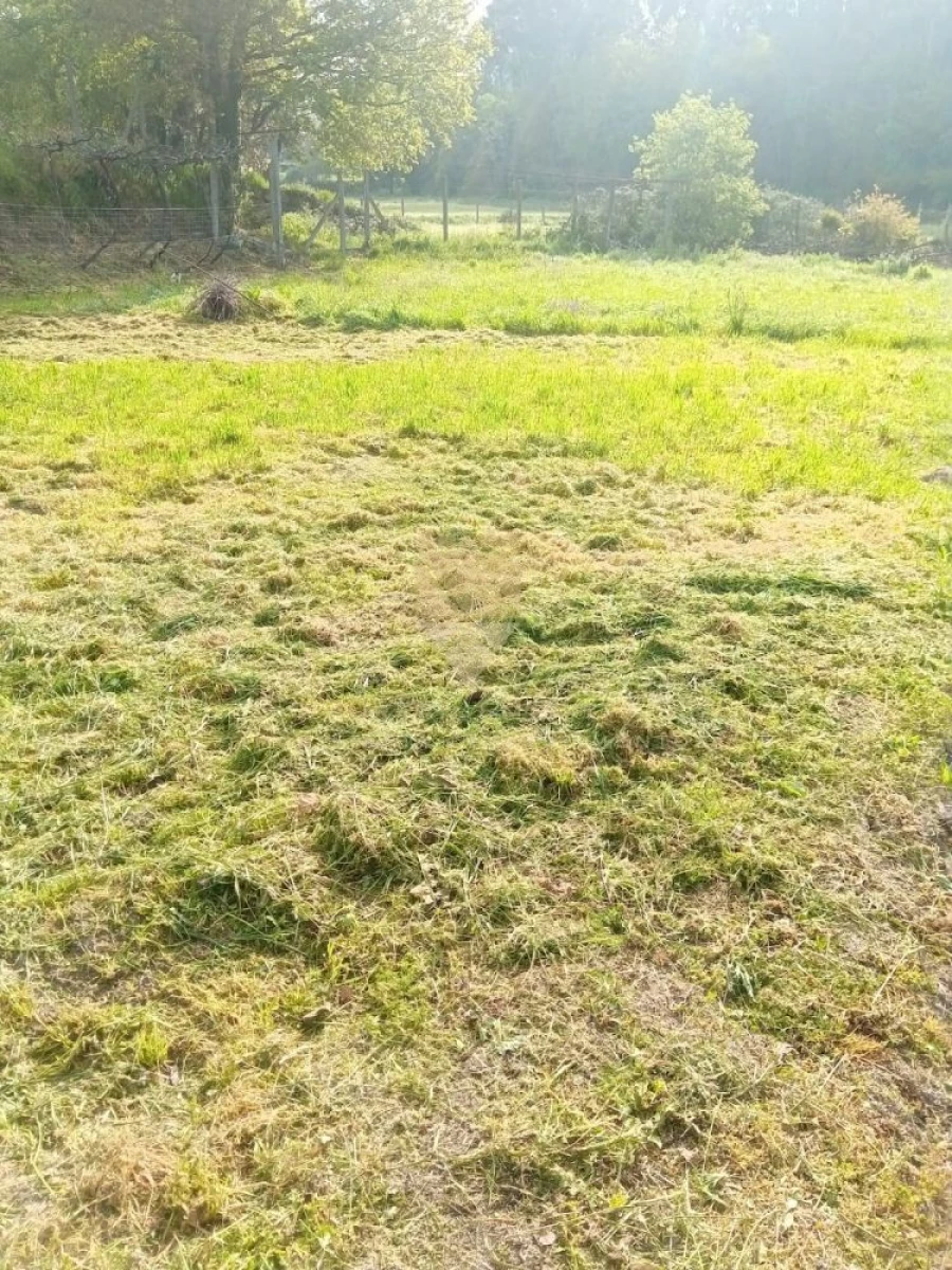 Terreno para Venda em Fonte Arcada Foto 4