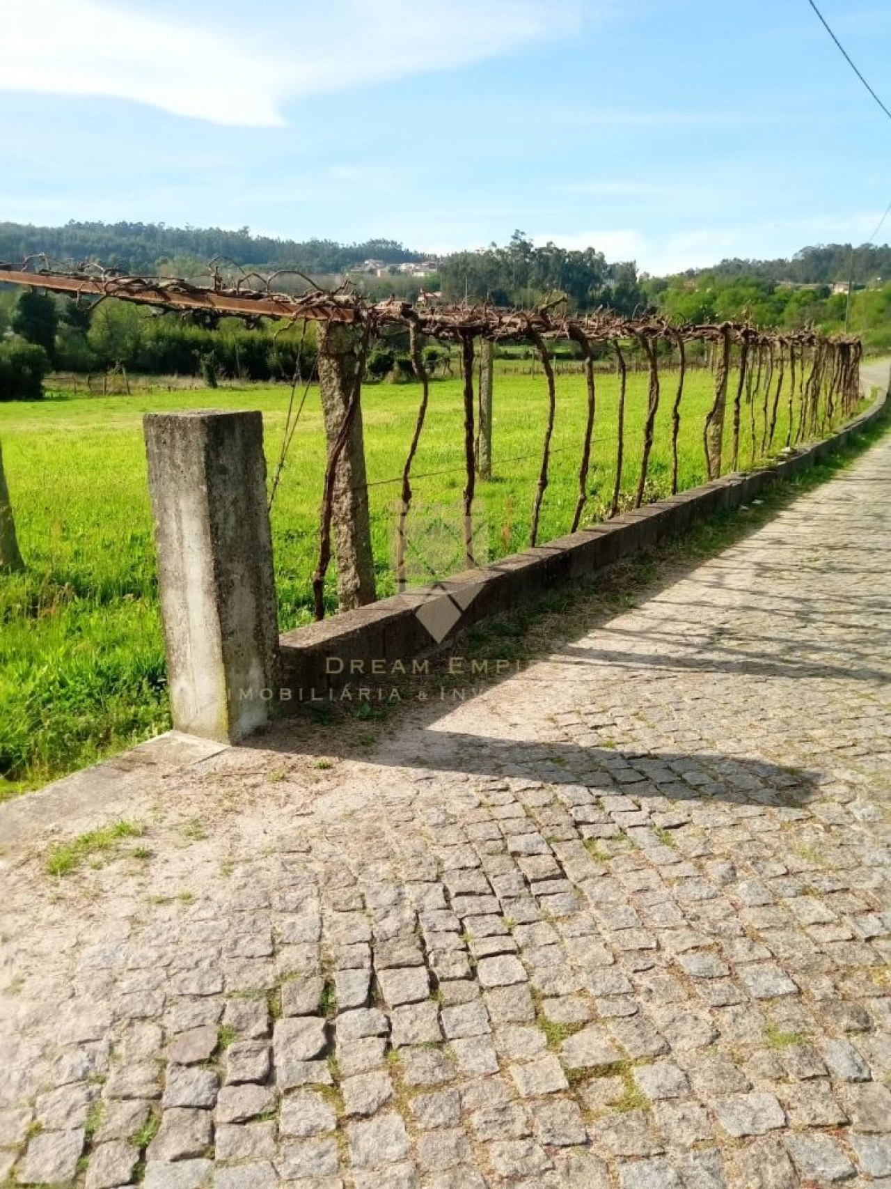 Terreno para Venda em Fonte Arcada Foto 3