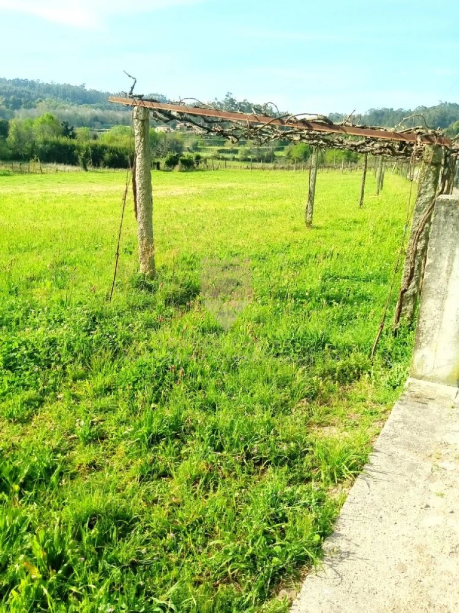 Terreno para Venda em Fonte Arcada Foto 1