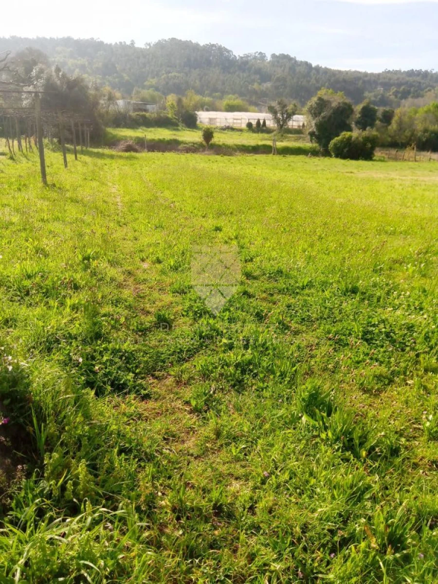 Terreno para Venda em Fonte Arcada Foto 2