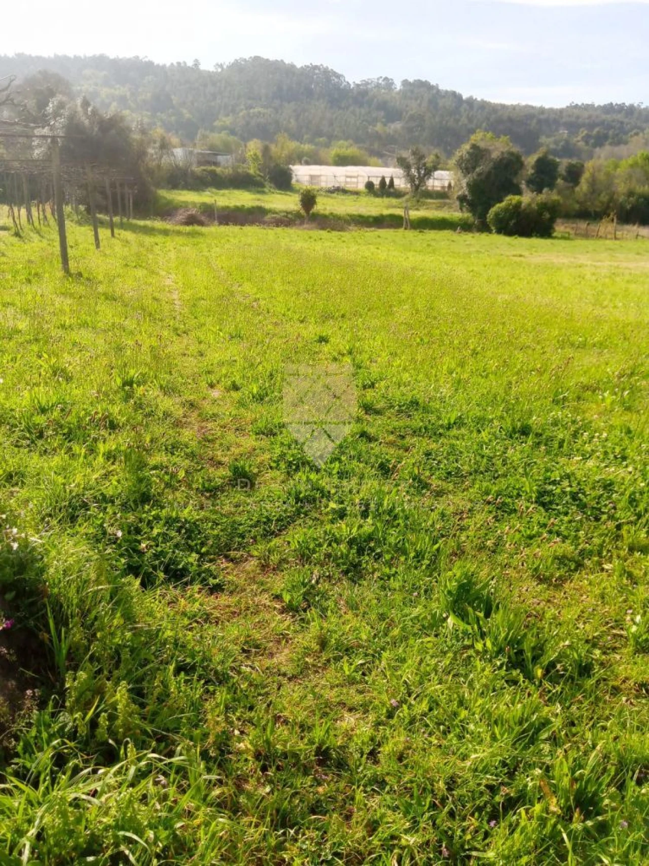 Terreno para Venda em Fonte Arcada Foto 2