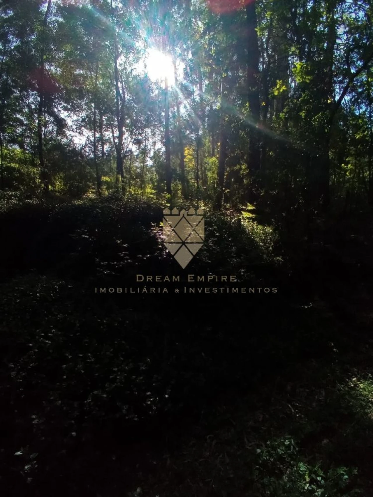 Terreno para Venda em Paço de Sousa Foto 3