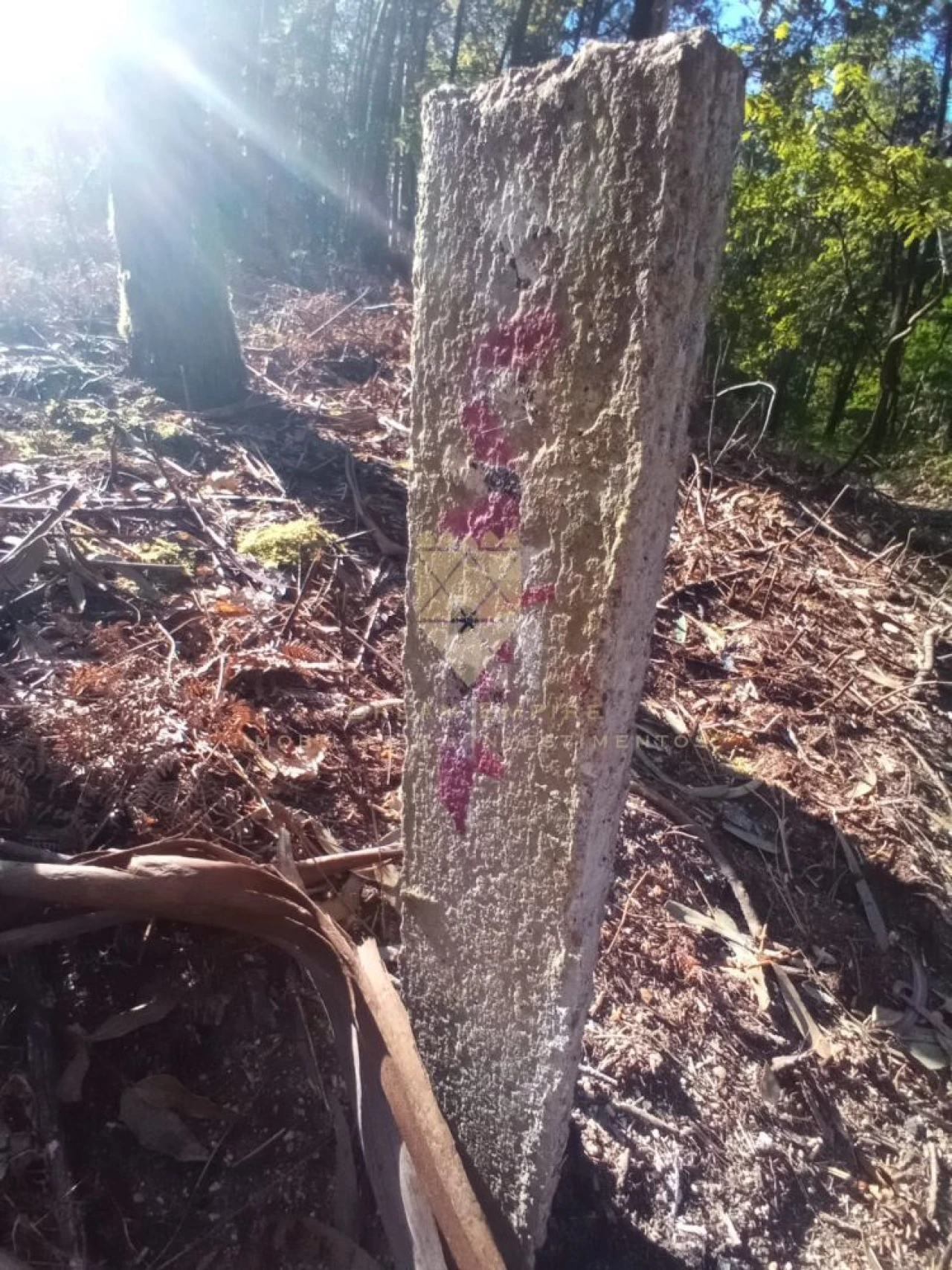 Terreno para Venda em Paço de Sousa Foto 1