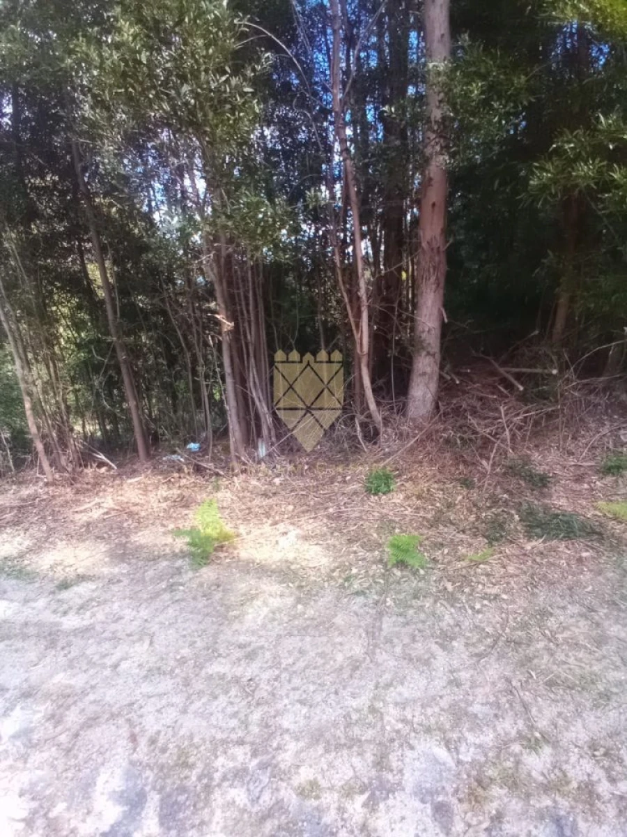 Terreno para Venda em Fonte Arcada Foto 3