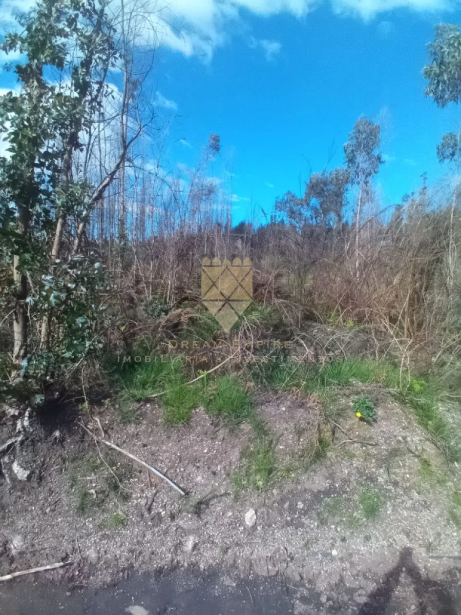 Terreno para Venda em Lagares e Figueira Foto 2