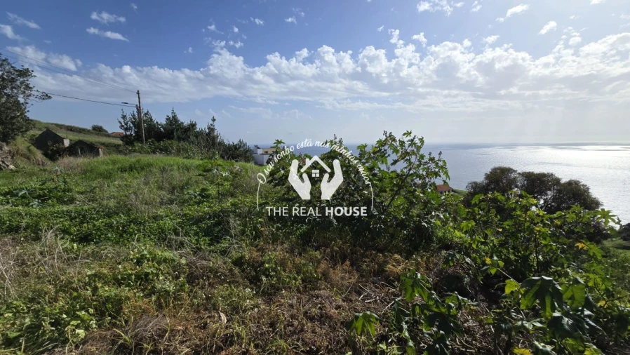 Terreno para Venda em Calheta Foto 9