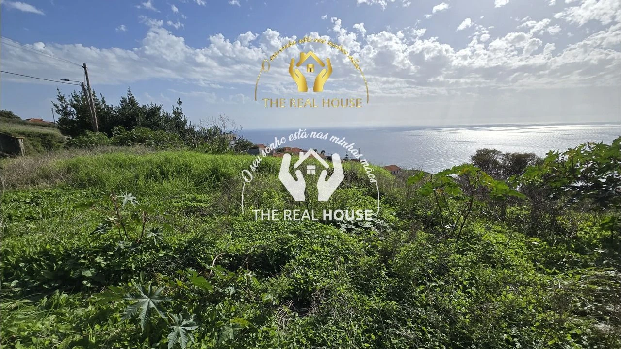 Terreno para Venda em Calheta Foto 3