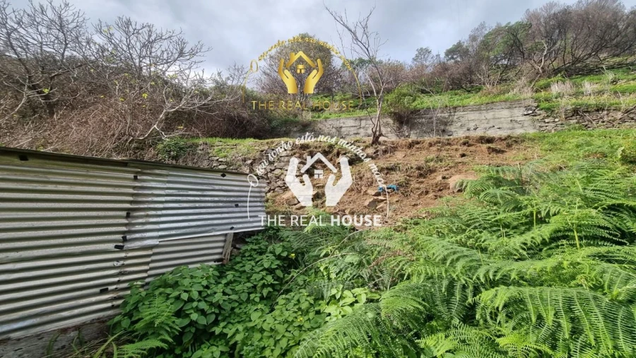 Moradia T2 para Venda em Ribeira Brava Foto 5