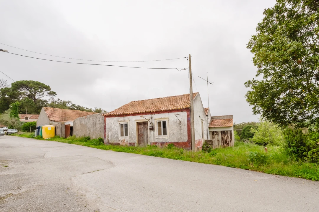 Moradia T5 para Venda em Aljubarrota Foto 4