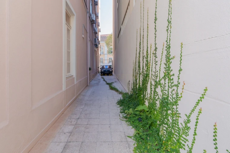 Negócio para Trespasse em Santo António Foto 16