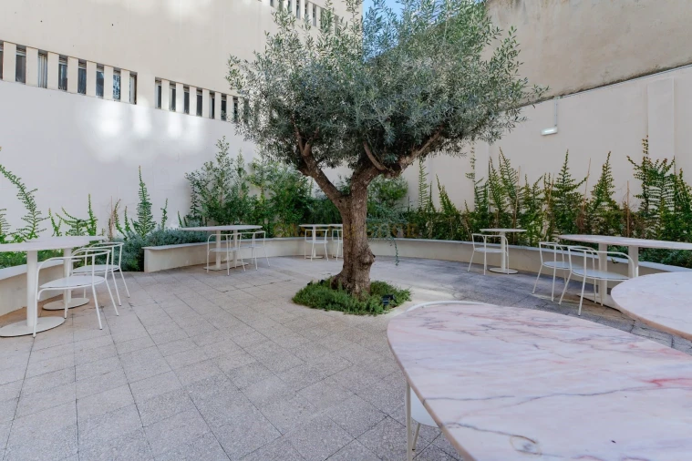 Negócio para Trespasse em Santo António Foto 21