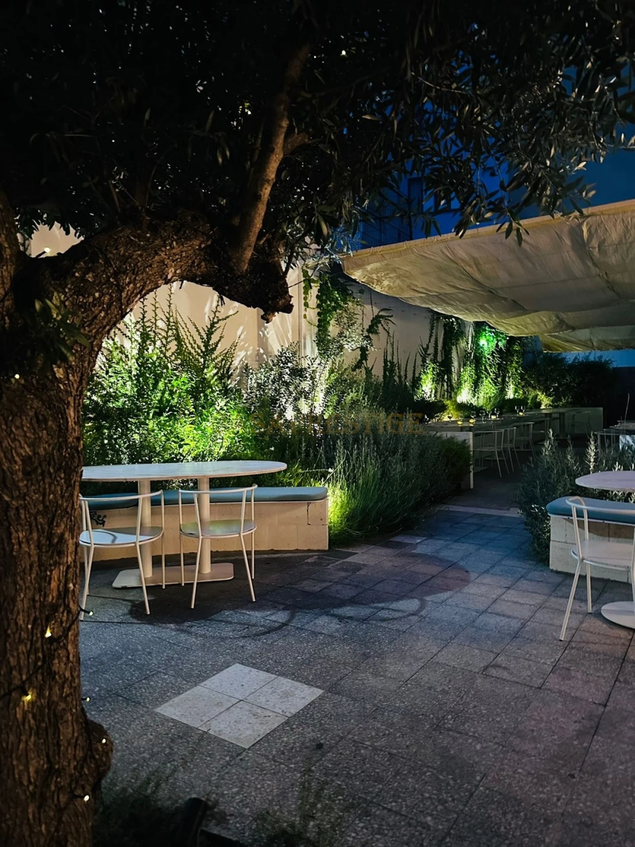 Negócio para Trespasse em Santo António Foto 23