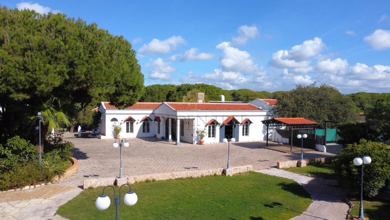 Negócio para Venda em Almancil Foto 7