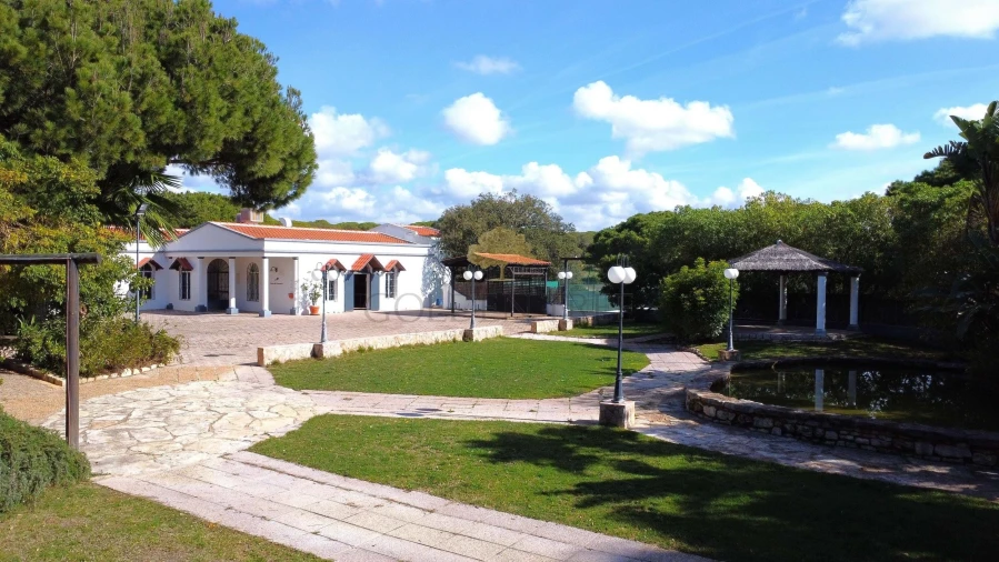 Negócio para Venda em Almancil Foto 2