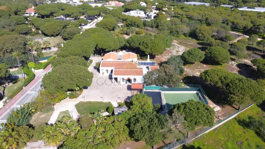 Negócio para Venda em Almancil Foto 1