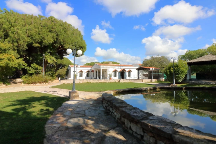 Negócio para Venda em Almancil Foto 20