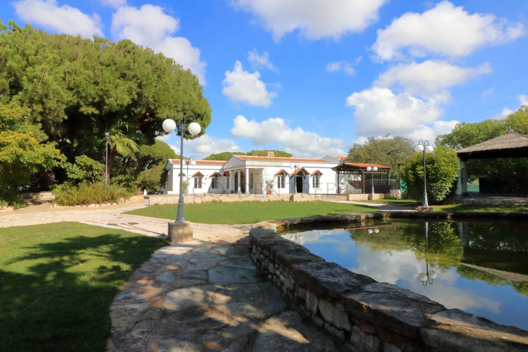 Negócio para Venda em Almancil Foto 20