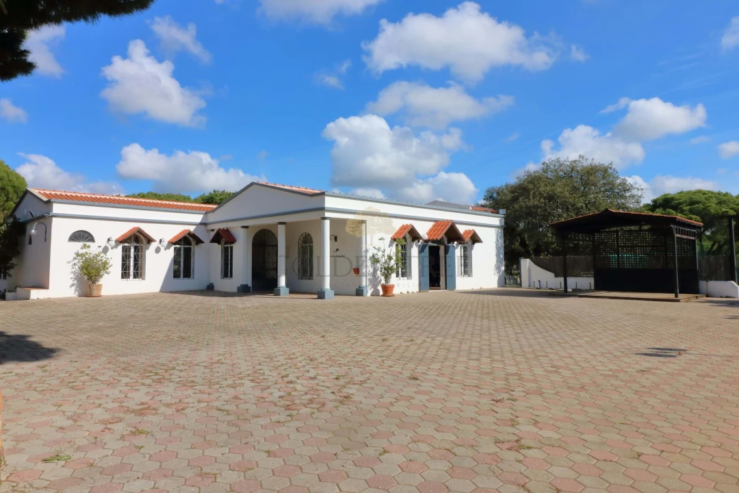 Negócio para Venda em Almancil Foto 19