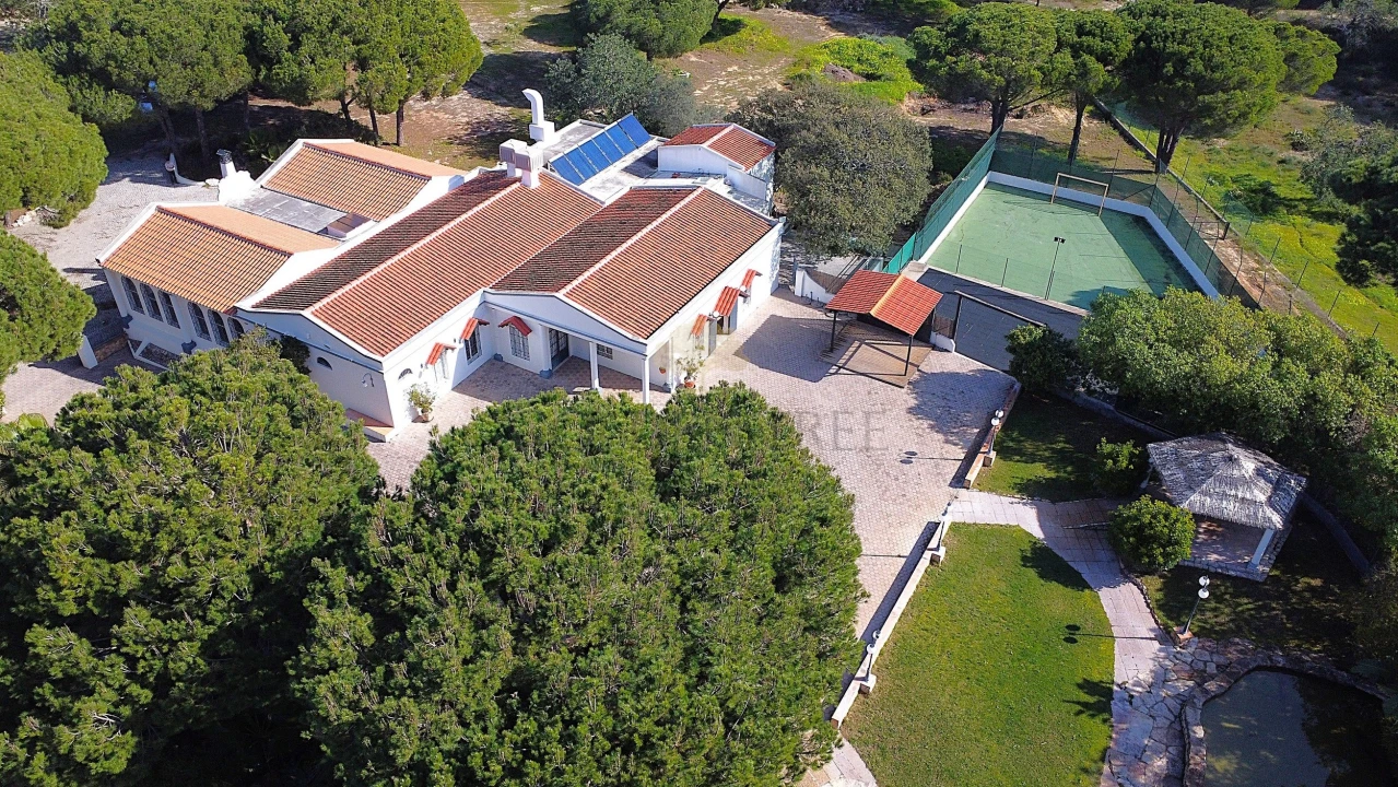 Negócio para Venda em Almancil Foto 6