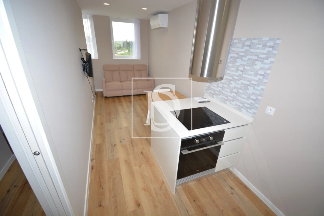 Apartamento T1 para Venda em Sé, Santa Maria e Meixedo Foto 5