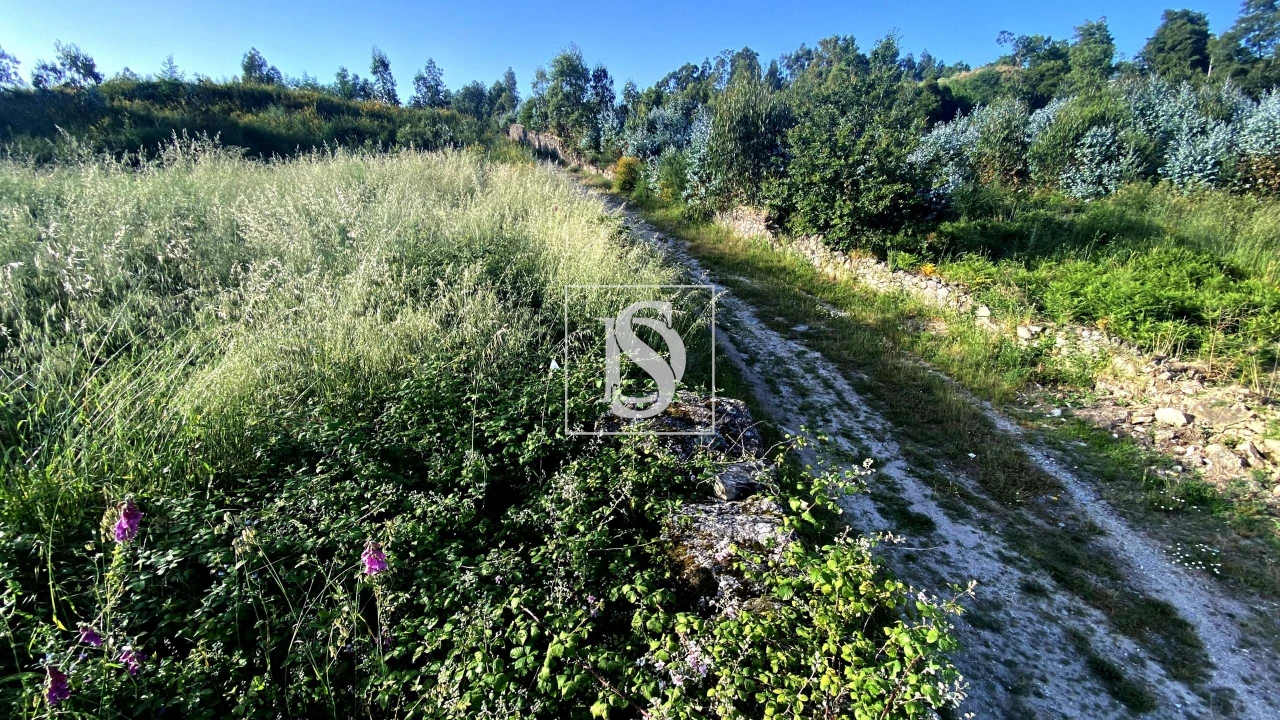 Terreno para Venda em Santo Tirso, Couto (Santa Cristina e São Miguel) e Burgães Foto 6