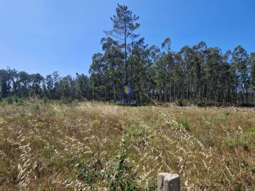 Terreno para Venda em Amor