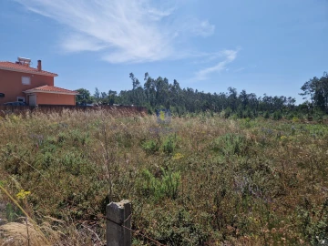 Terreno para Venda em Amor
