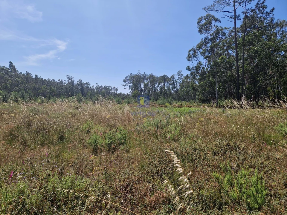 Terreno para Venda em Amor Foto 5