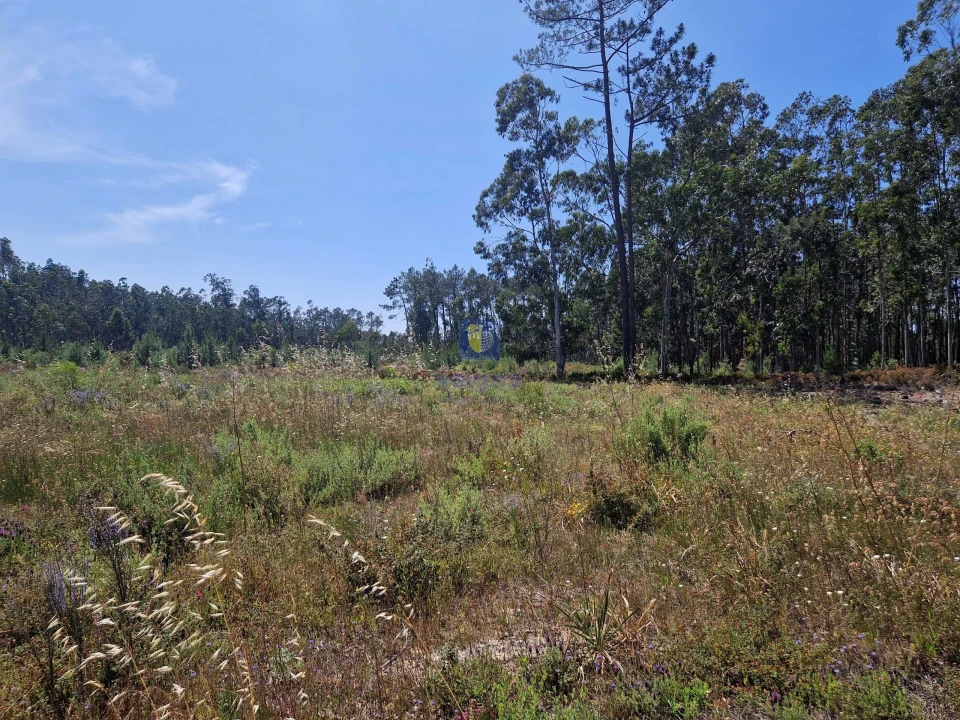 Terreno para Venda em Amor Foto 8