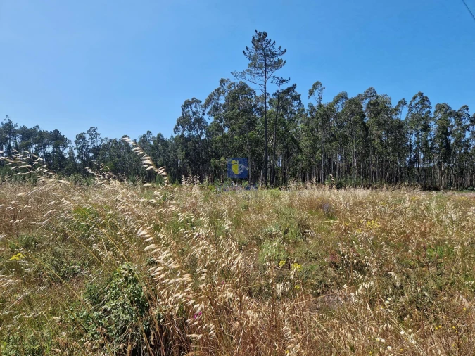 Terreno para Venda em Amor Foto 7