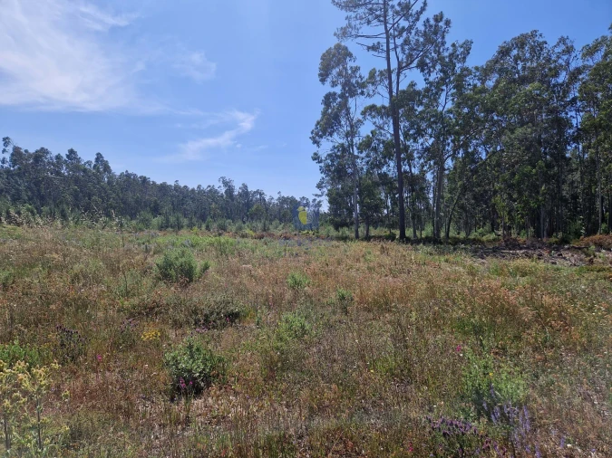 Terreno para Venda em Amor Foto 3