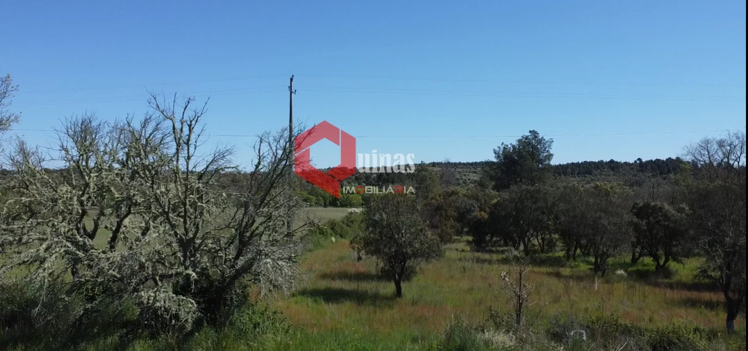 Moradia T0 para Venda em Malpartida e Vale de Coelha Foto 2