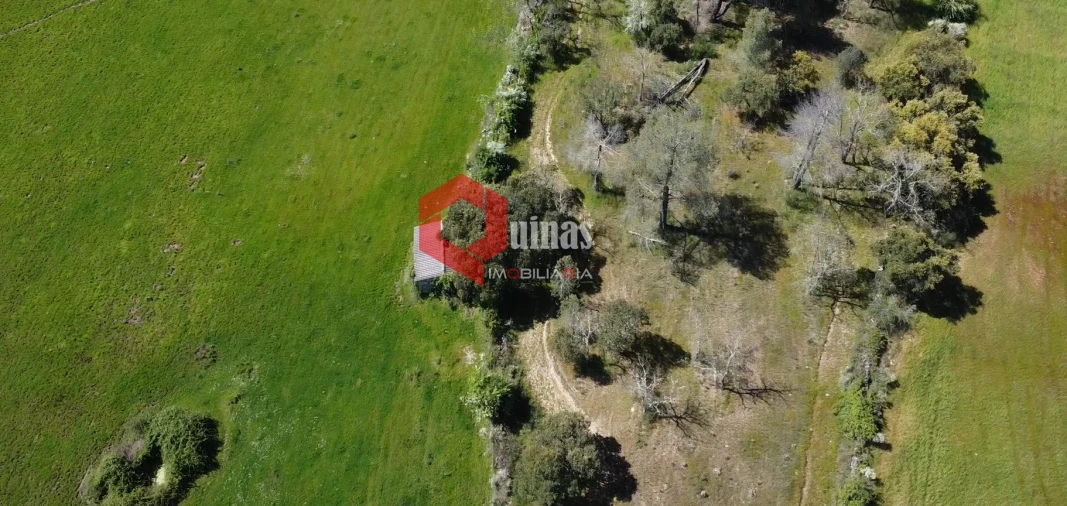 Moradia T0 para Venda em Malpartida e Vale de Coelha Foto 4