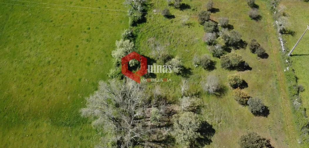 Moradia T0 para Venda em Malpartida e Vale de Coelha Foto 5