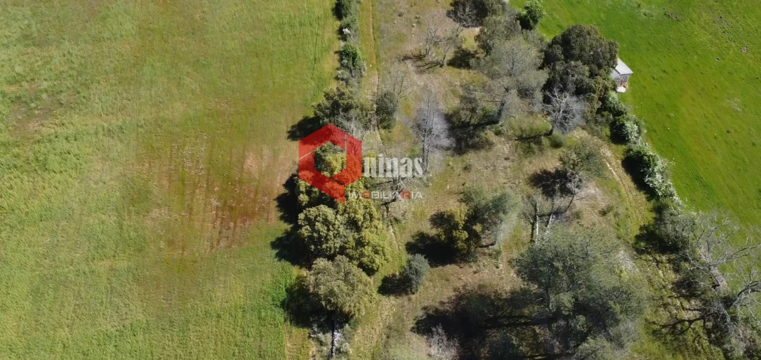 Moradia T0 para Venda em Malpartida e Vale de Coelha Foto 3