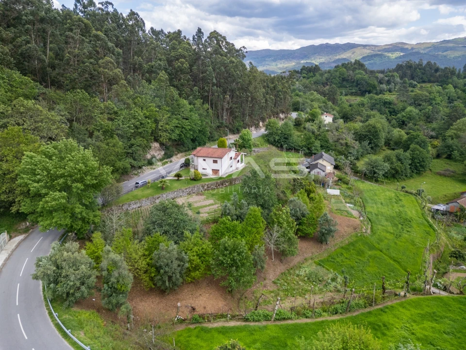 Terreno Agricola ou Rústico para Venda em Valdreu Foto 1